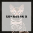 시간관리효율화 이미지