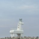 슬로우스테이 | 제주도 공항근처 감성숙소, 슬로우스테이