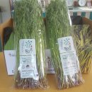 미대동식당 이미지