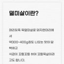 돼지영농후계자(초전점) 네이버블로그