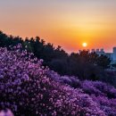 진달래빌딩 이미지