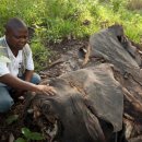삼겹살 좋은데이(Day) 이미지