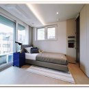 옥정 왕벚나무길 이미지