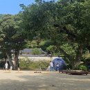 나무마당 이미지