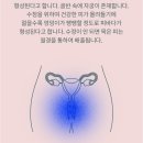 (주)베스트메디칼 네이버블로그