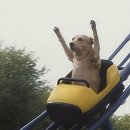 강동과일 | [강동구 암사동] 롯데캐슬 과일맛집 로즈애플 강동롯데캐슬점 수박컷팅 배달 후기🍉 당도 미쳤어요