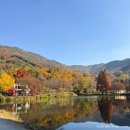 송곡지 | 대전근교 공주 엔학고레 단풍 카페 방문 후기