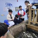 청룡태권도장 이미지