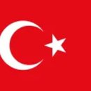 동네강아지 이미지