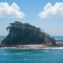 내 마음을 다스리는 것이 모든 일의 시작.(하루한장 고전 수업/조윤제 지음) 이미지