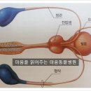 마음을 읽어주는 마음동물병원 이미지