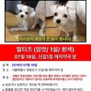 복실이 이미지