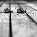 해주여관 이미지