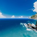 리틀퍼피 이미지