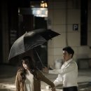 스케치독 이미지