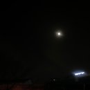 치킨선생신길점 | [도배학원] 1~2주차