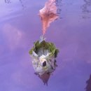 창말어린이집 이미지