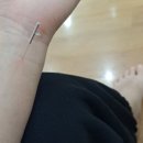 작전경희한의원 이미지