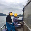 [공지] 홍도야 울지마라~ 정글다이브 스쿠버다이빙 팀이 간다