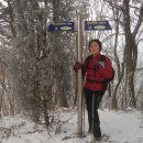 금학산민박 이미지