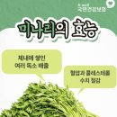 강남랭겹 네이버블로그