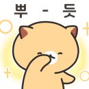 셀라비플라워 이미지