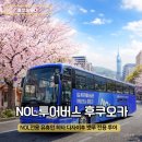 황소카서비스 | NOL 전용 투어버스 후쿠오카 히타, 유후인, 벳푸 감성 버스투어 후기