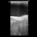 상일 쓰담쓰담 동물병원 이미지