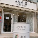 오늘도봄플라워
