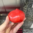 [대전 심리상담 후기] 브레인통합헬스센터 대전점