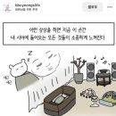 썬골프 이미지
