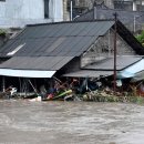 생명의 바다 1.2 이미지