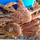 거성수산 이미지