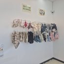 멍토피아 이미지