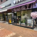 고양이분양 꽃개와 꽃냥 인천 청라점 이미지