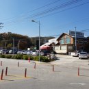 최칼국수 이미지