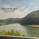 노일 화장실 이미지