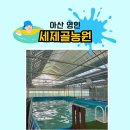 윤보선로 | [국내여행]아산 영인 세제골농원 물놀이장💦