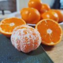 안당농장 이미지