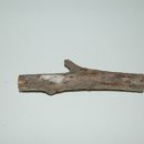 작은깡통 이미지