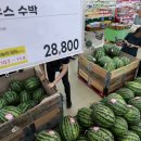 이변 이미지