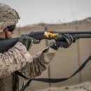 오퍼스(OPUS) 이미지