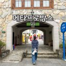 프로방스 | 전남 담양 가볼만한곳 메타프로방스 맛집 기념품 등 방문후기!