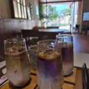 오로라카센타 이미지