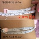 신기방기 이미지