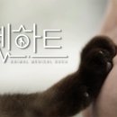 하트펫 동물병원 이미지