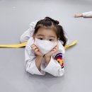 충의 K타이거즈 태권도장 이미지