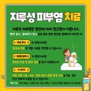 리브동물의료센터 이미지