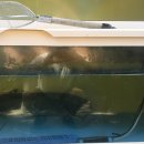 임진강민물장어 이미지