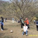 산수유축제장 이미지